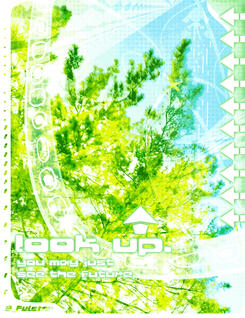 (8/4/2024) thought it'd be fun to take an actual photo, and make something like this out of it